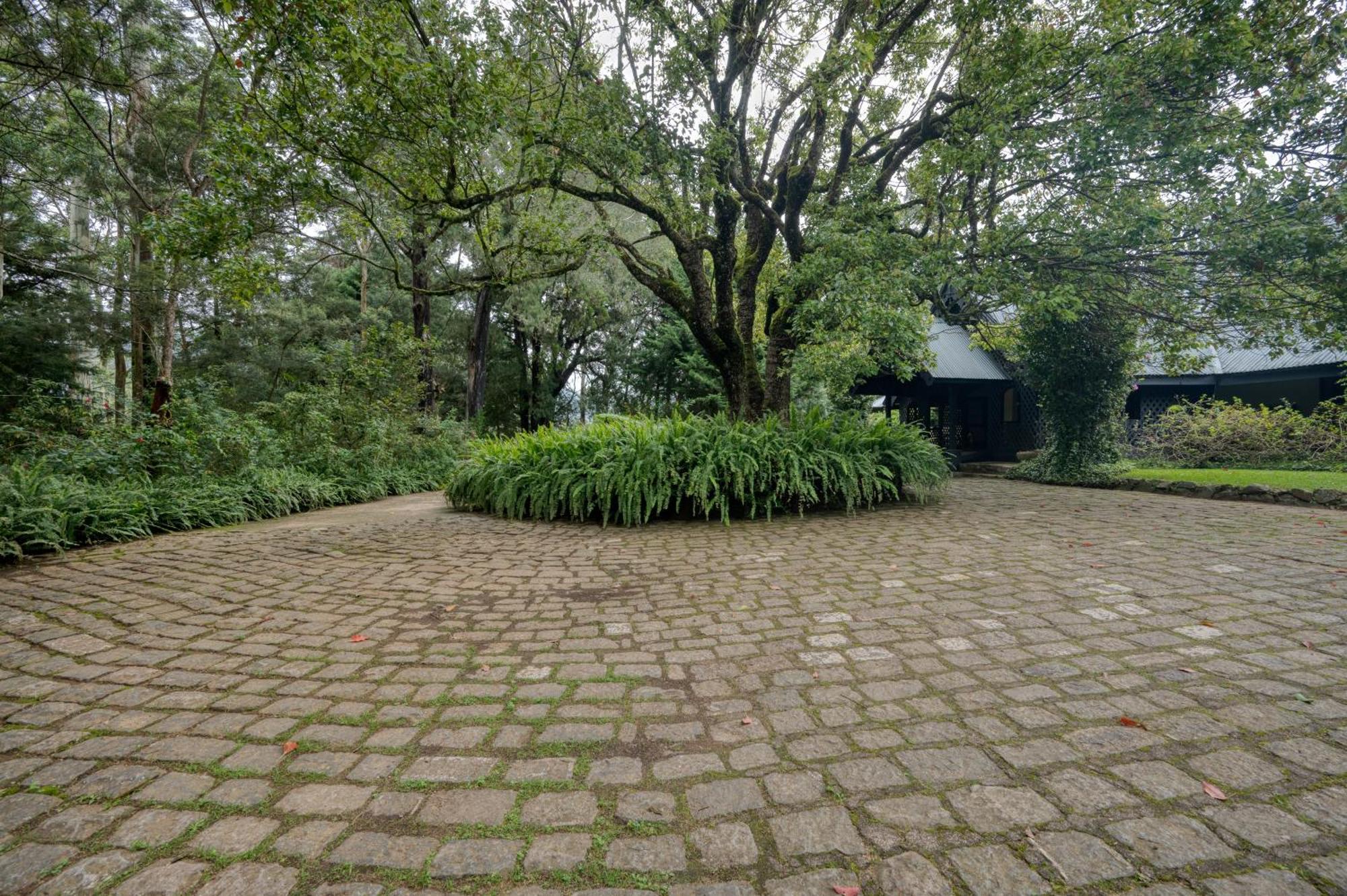 Ferncliff Bungalow Нувара-Елія Екстер'єр фото